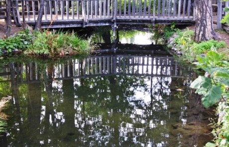 Come enjoy McCloud RV Resort's very own trout ponds.